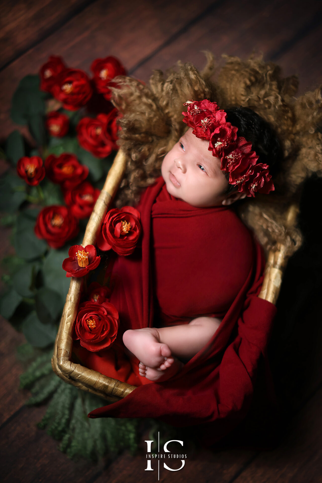 Newborn studio photoshoot-The girl in red.