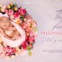 Newborn Baby Photoshoot