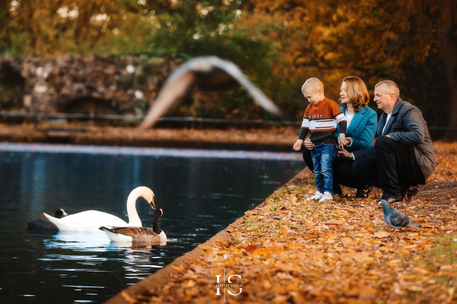 Autumn photoshoot in Valentines Park Ilford with golden leaves and warm natural light.